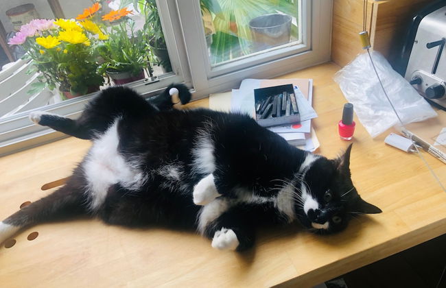 Agelandkaai.be - Photo 4