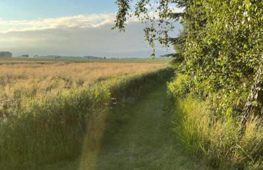 Peeneurlaub - Foto 61