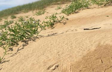 Studio - MARINA 6 - Foto 23