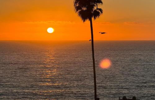 Amazing La Jolla Ocean View 2 bedroom apartment - Photo 29