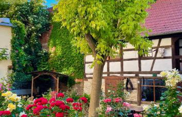 Mohrenbrunnen Apartments - Foto 13