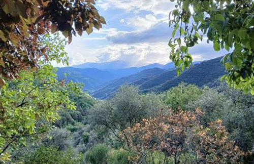 House - Sleeps 5 Scenic Views Fireplace & Garden - Foto 47