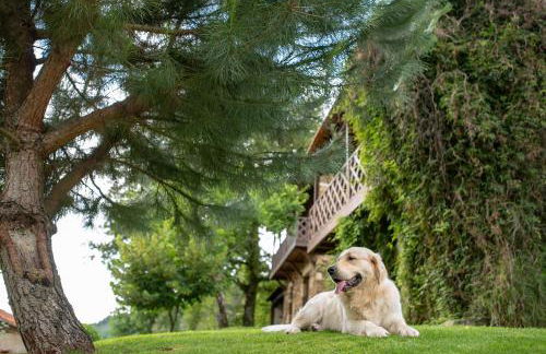 Quinta da Rabaçosa - Turismo Rural - Foto 2