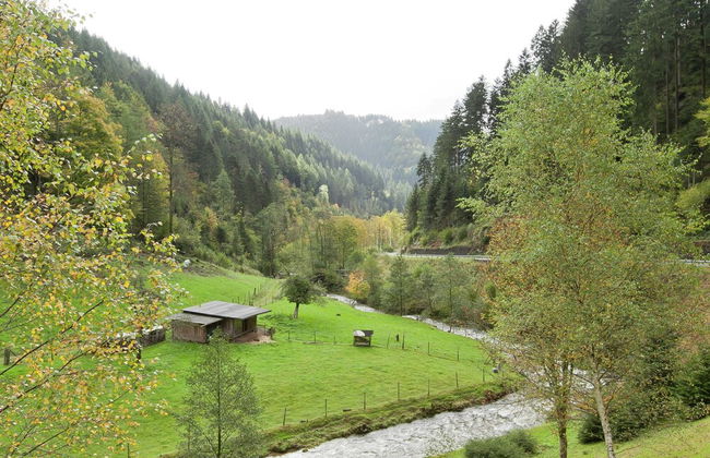 Holiday Home Near the Forest in Oppenau - Foto 27