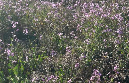 Casa Miranda - Foto 7