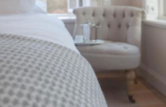 Austernfischer - Photo 26