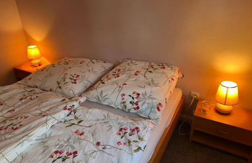 Die kleine Villa OLEFant im historischen Ortskern von Schleiden-Olef - Foto 22