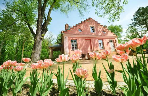 Willa Różana - Foto 61