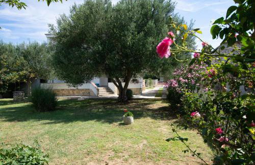 White Diamond - Foto 14