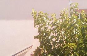 Tourloti Village House - Foto 86