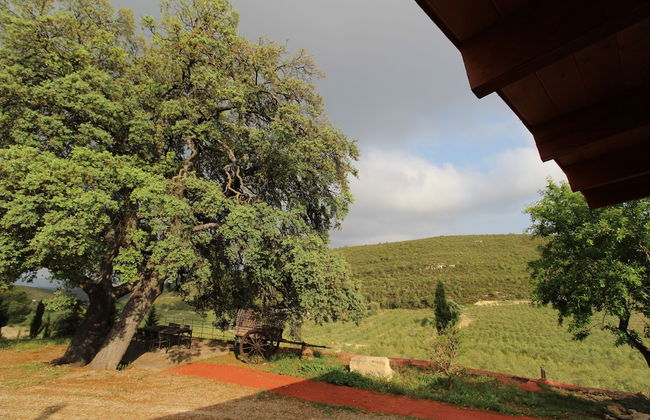 Masia Heredad La Boquilla - Foto 16