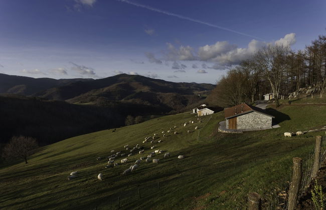 Cabañas Deluxe Basajaun Basoa by IrriSarri Land - Foto 74