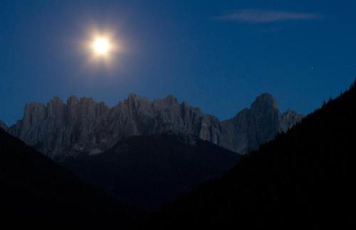 Kellnerhof - Foto 53