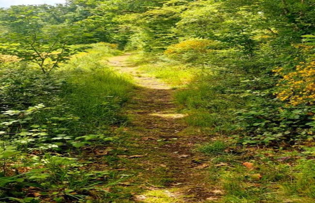 Holiday Home in Somme Leuze for 7 Person - Foto 36