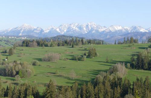 Leszczyniański Domek - Foto 39