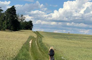 Stara Szkola - Wielki Medromierz 59 - Foto 46