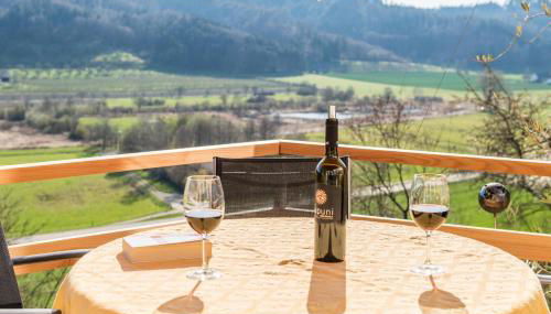 Ferienparadies Bodensee Fewo2 - Foto 3