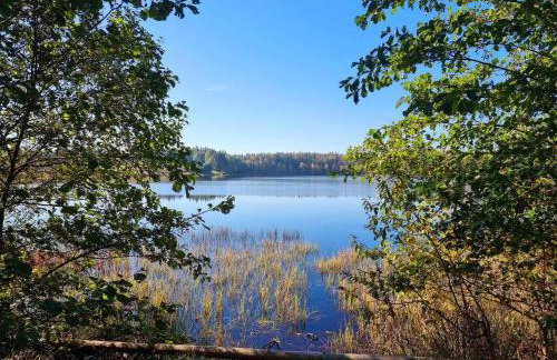 Domek de Janauis - Foto 68