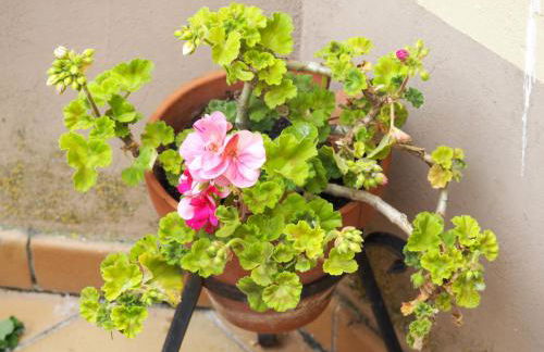 Casa De Nohales - Foto 26