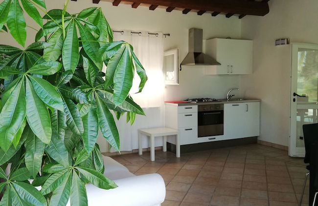 Villa Belvedere degli Ulivi - Photo 10