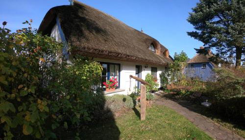 Landhaus Darss - Foto 3