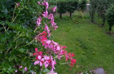 LA CASA DI SURI - Photo 50