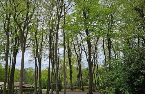 La Maison du Grand Sapin - Foto 2