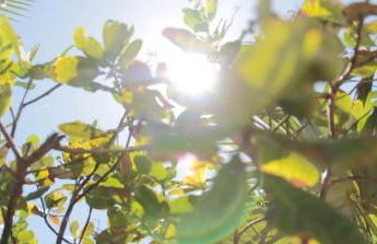 Casa Pérola da Barra - Foto 74