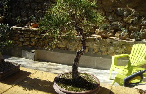 Casita para dos con piscina privada - Foto 23