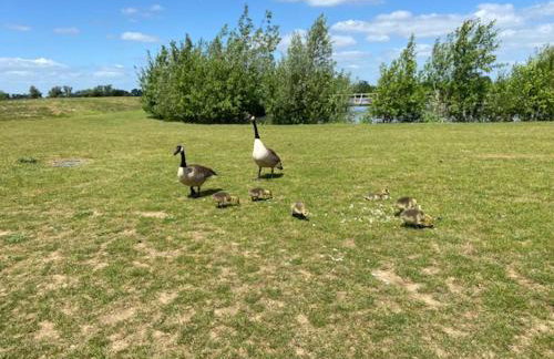 Waterside Lodges Cambridge - Foto 13