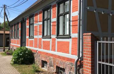 Landidyll - Bauernhaus Ländchen Bellin - Photo 7