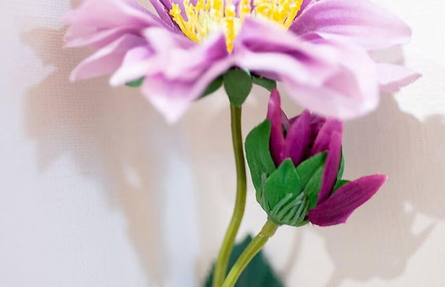 Stay Asahikawa Koto - Foto 44