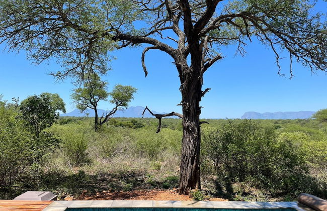 Villa Thornybush Light and Elegantly Designed Villa - Photo 32