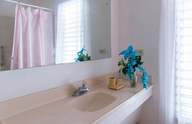 Villa Roma - Photo 15