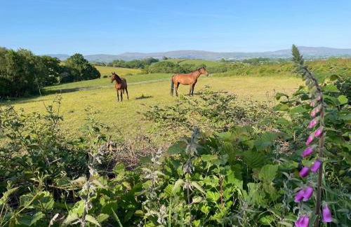 Locka Old Hall Cottage - Foto 6