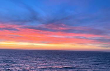 Antigone’s garden - Photo 15