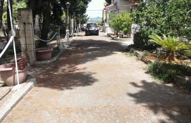 Wild Paradise - Foto 6