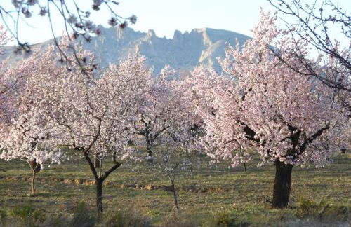 Cortijo La Estrella - Foto 32