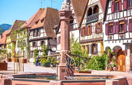 L'Altenberg - Foto 43