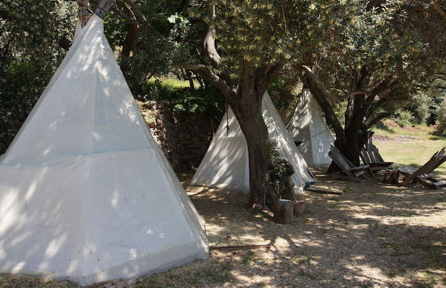 Shiva Camp - Foto 45