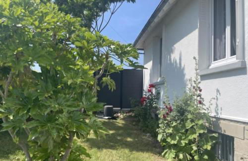 Les bois flottés - Foto 13