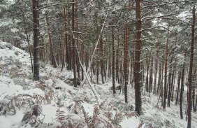 Château de la rivière - Foto 1