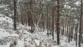 Château de la rivière - Foto 1