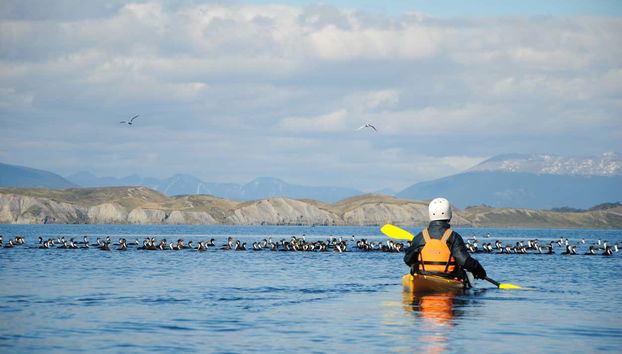 Ruta en kayak por el Canal Beagle