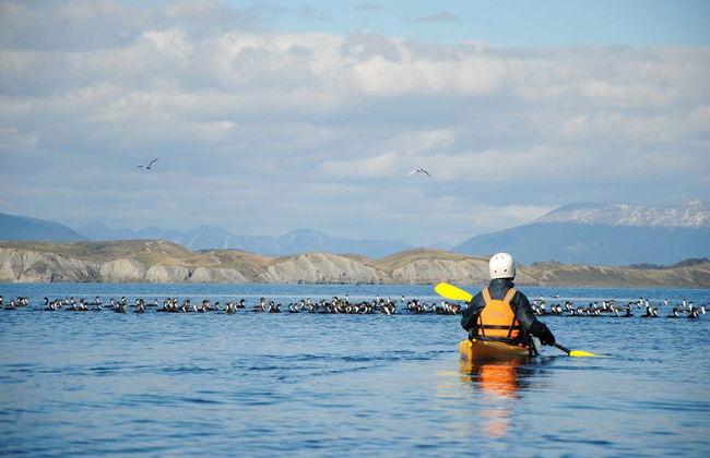 Beagle Channel Kayak Tour - Photo 2