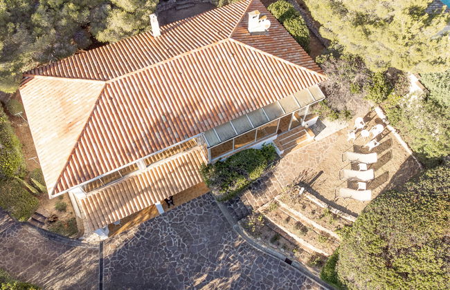 Pigeon Vole - Foto 35