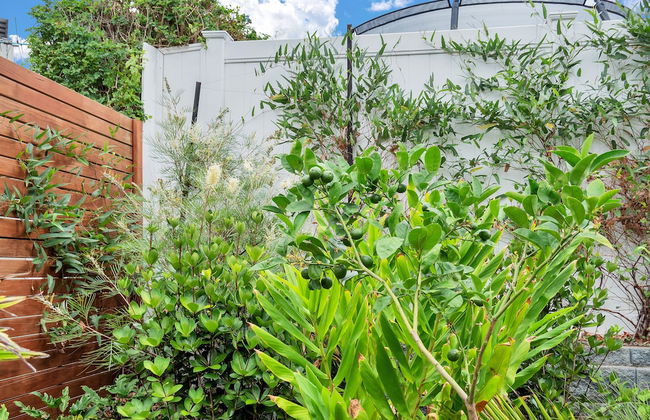 Elegant and Stylish Retreat in Epsom - Foto 70