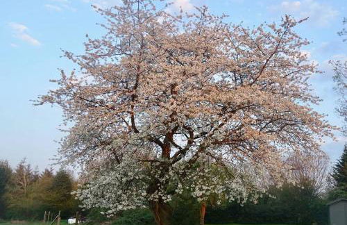 COHCO'ART GITES - Foto 34