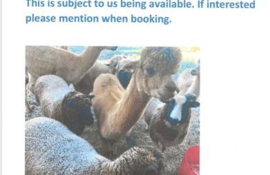 The Summerhouse, countryside retreat with private hot tub - Foto 7