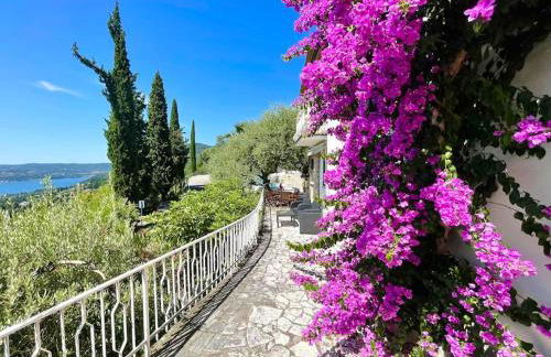 D1MORA Panoramica - Foto 22